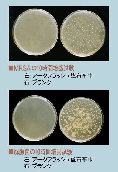MRSA綠膿桿菌 10小時培養實驗